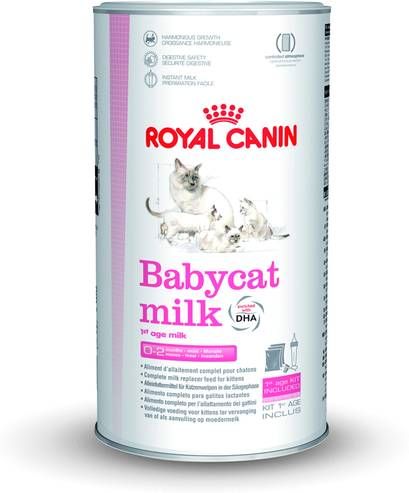 Royal Canin 300 g Babycat Milk(3 vershoud zakjes &#xC3, 100 g ) online kopen